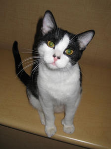 Spike--I've been adopted!!