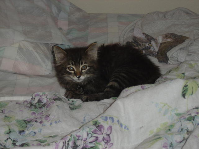 Do I need to wake up for my close up?