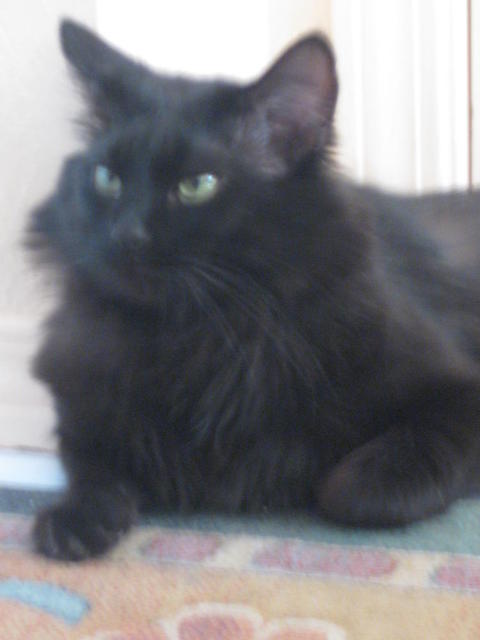 Moritz 2