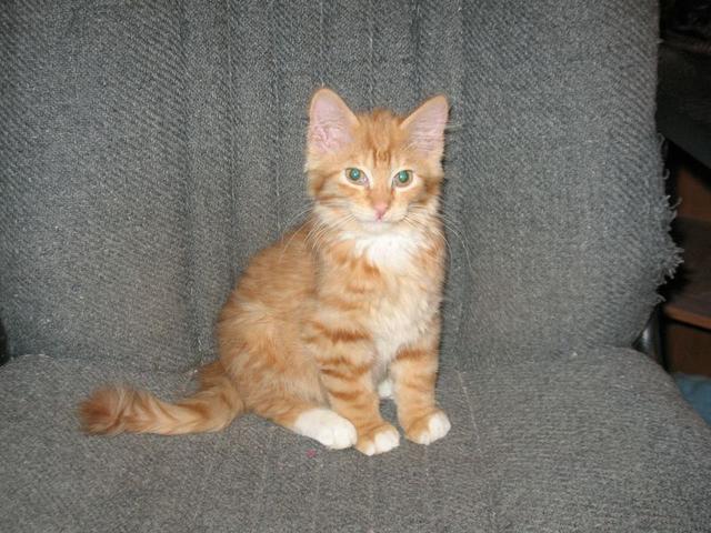 Levi Posing-adopted