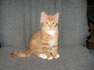 Levi Posing-adopted