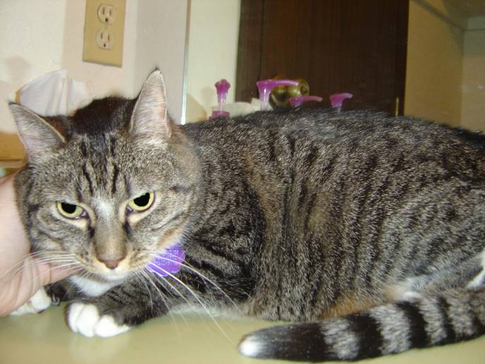 T.C.--Adopted!!