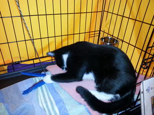 Taki Playing