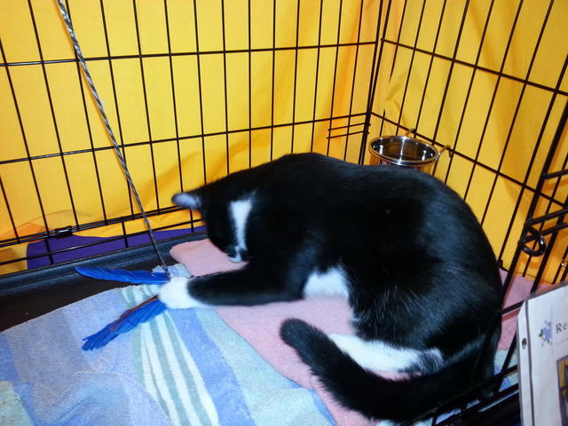 Taki Playing