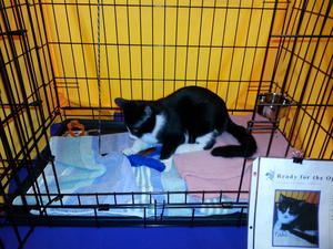 Taki Playing 2