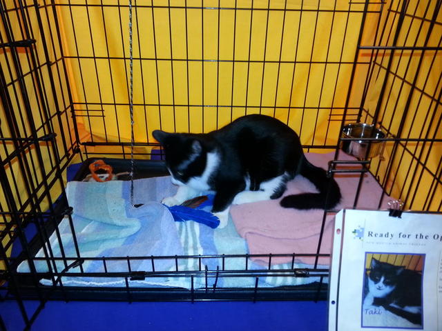 Taki Playing 2