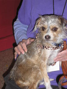 Neecie - Adopted!