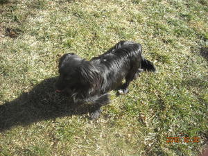 Sadie DSCN2195