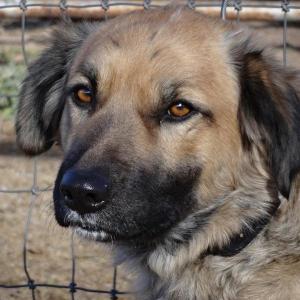 Sophie image001