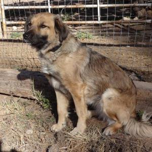 Sophie image002