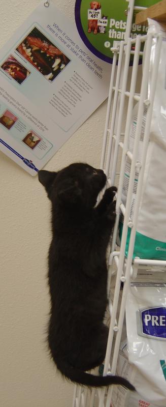 Phillip--Adopted!!