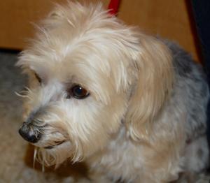 rocky_10