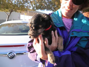 rocky_1