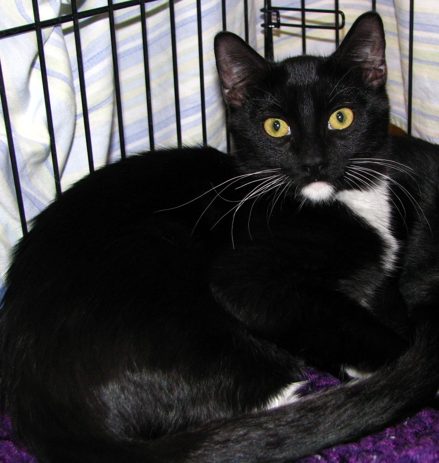 Tip--Adopted!!