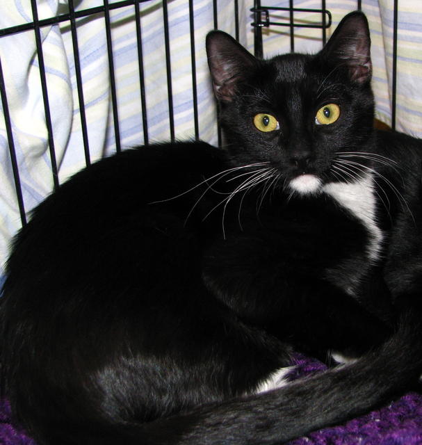Tip--Adopted!!