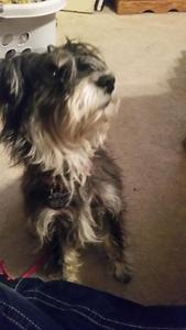 Momma 20150404_174548