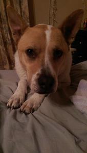Lucy