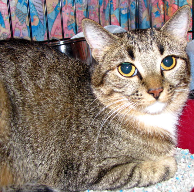 LT--Adopted!!