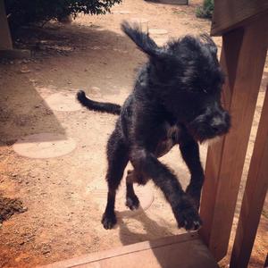 Miss Lucy IMG_1442