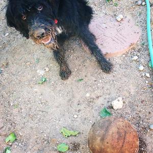 Miss Lucy IMG_2578