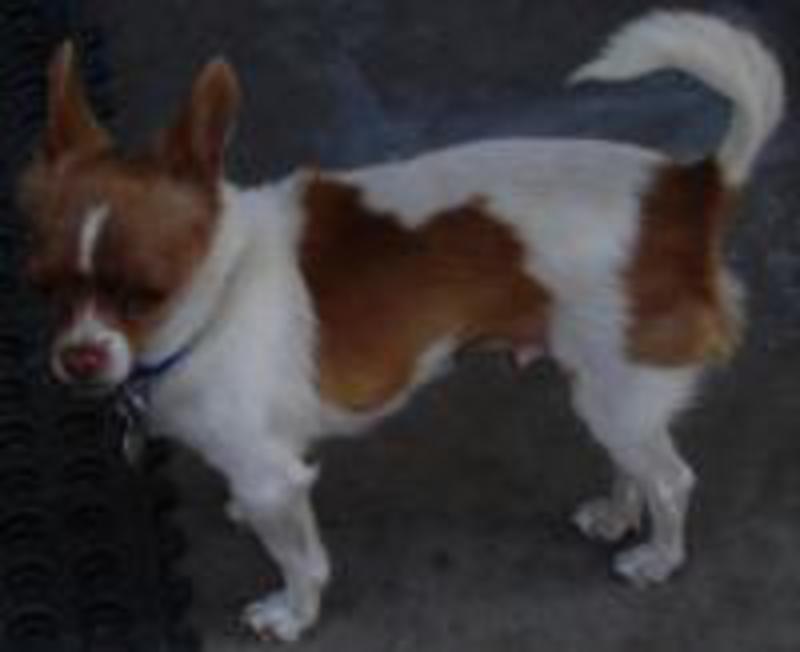 Chester