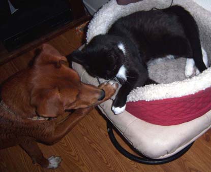 Melody May--Adopted!!