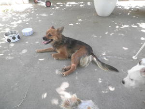 Taffy