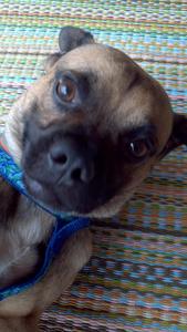 Maxx