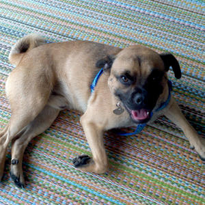 Stuart  Maxwell "Maxx" - Adopted!