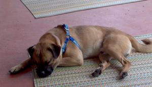 Maxx