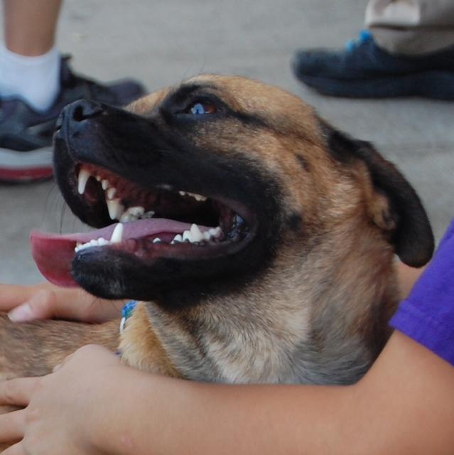 Maxx