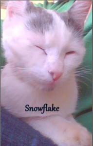 Snowflake