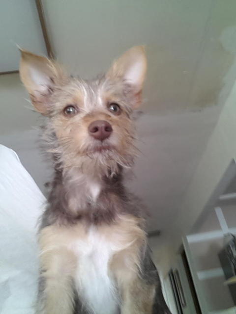 Marco