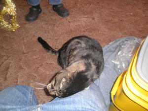 Lena wrapping herself around a leg