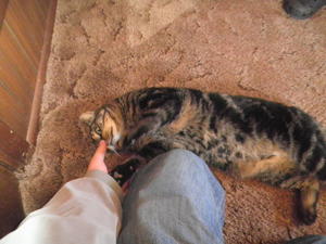 Lena lying peacefully upside down