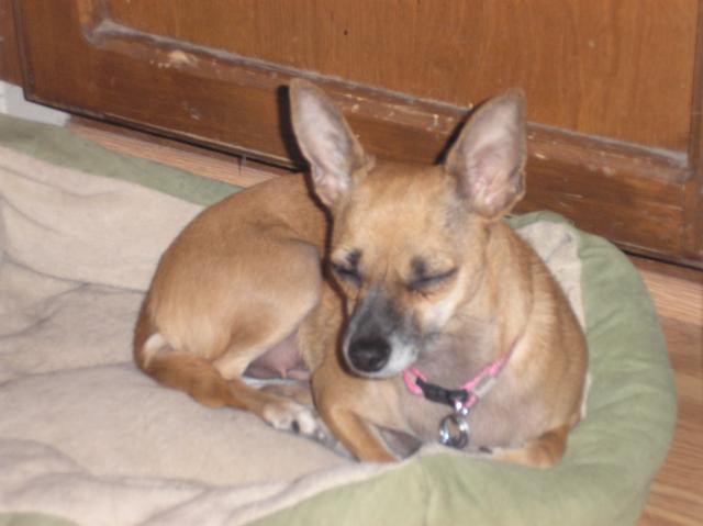 TammySleepingOnJob