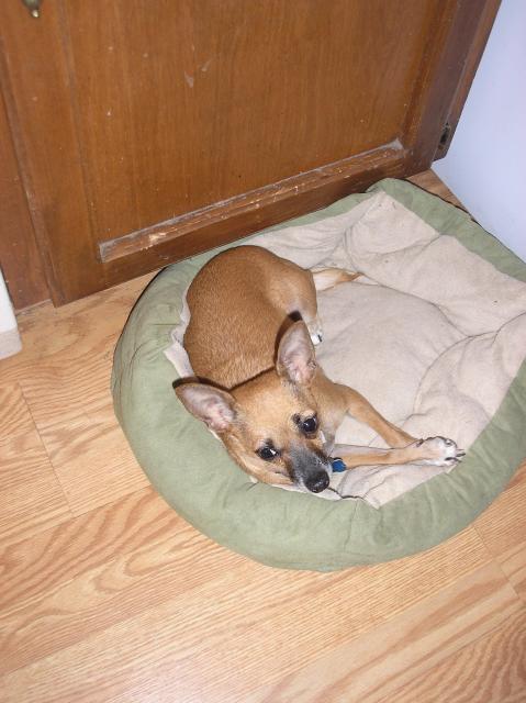 TammyResting