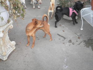 Ludo and Jett