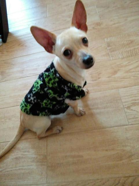 Frito