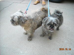 SadieandSophie