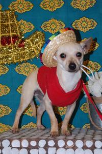 Frito