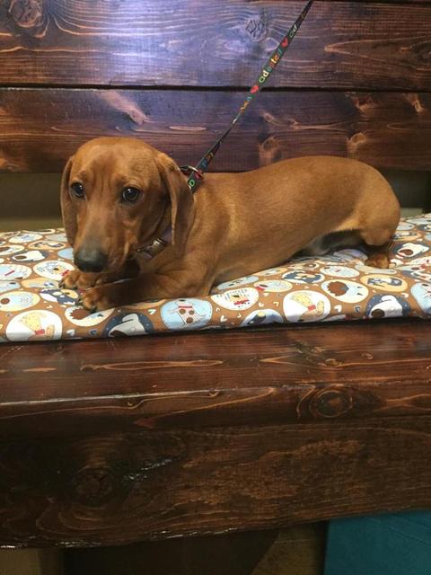 Snoop Dach