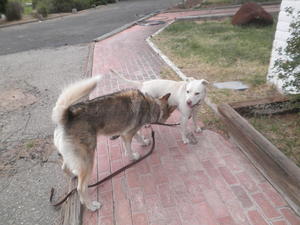Jake and Muffie