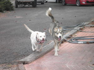 Jake and Muffie