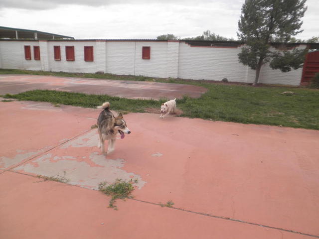 Jake and Muffie