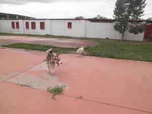 Jake and Muffie