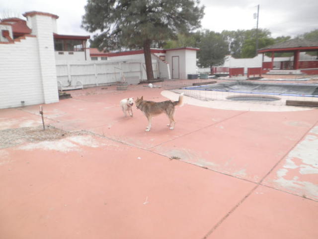 Jake and Muffie