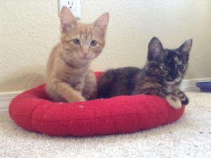 Fred and Luna