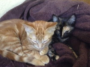 Ginny and Poppy