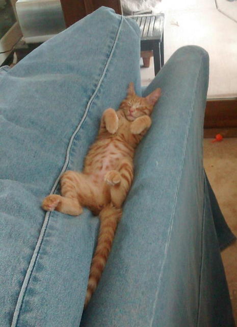 Fred